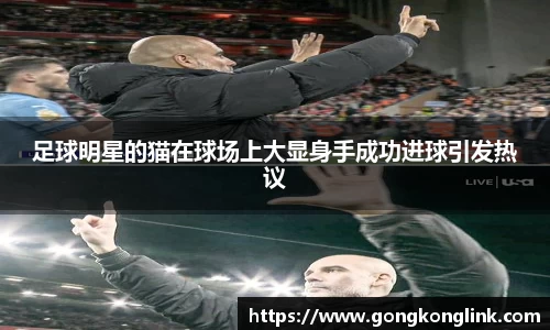 足球明星的猫在球场上大显身手成功进球引发热议